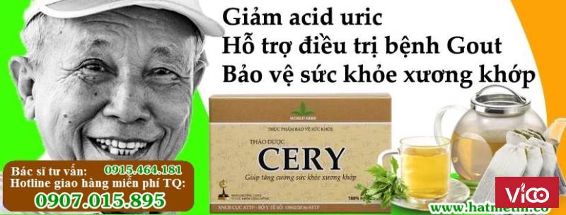 Thảo dược Cery trị hiệu quả bệnh gout, tăng cường sức khỏe xương khớp