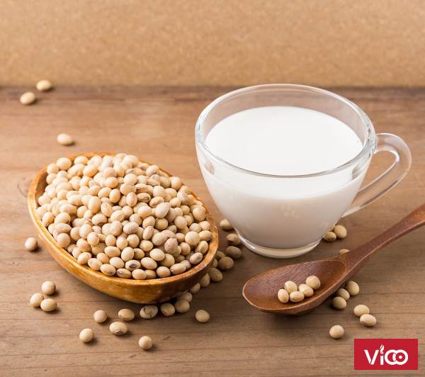 Mầm đậu nành có lợi sữa không Chia sẻ kinh nghiệm chăm con