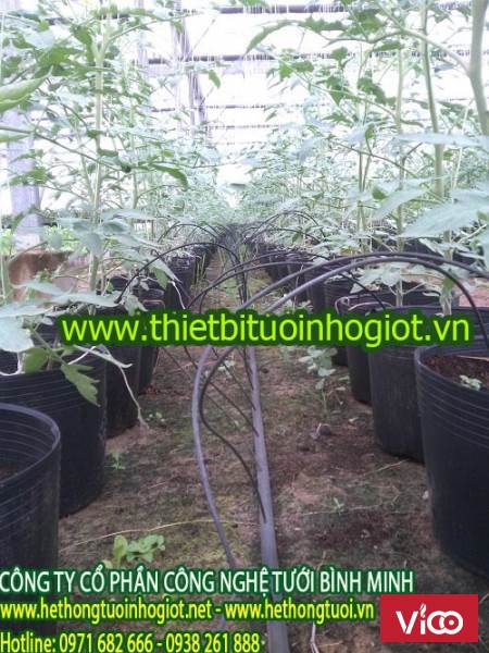 Nhà nhập khẩu và phân phối độc quyền hệ thống tưới nhỏ giọt Tây Ban Nha tại việt Nam