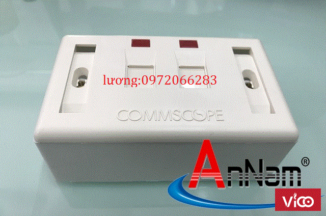 Bộ wallplate 2 port nhânđếmặt bộ outlet đôi