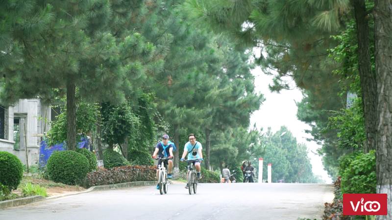 Bán biệt thự khu sinh thái đồi thông trong lòng Hà Nội