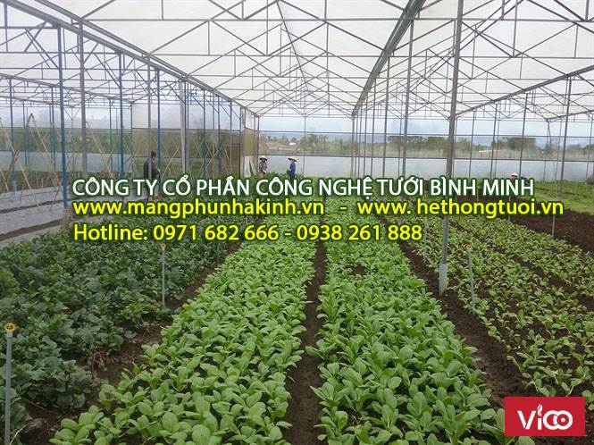 Màng PE nhà kính, cung cấp vật tư nhà kính,chi phí làm nhà kính