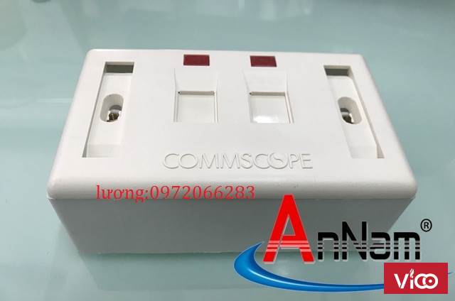 Bộ wallplate 2 port nhânđếmặt bộ outlet đôi