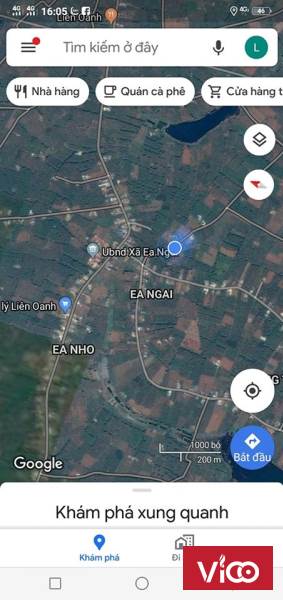 bán gấp 7 sào tiêu cafe ea ngai