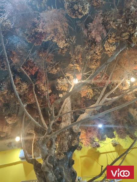 Cho thuê nhà lô góc đường Bùi Tá Hán giá 23 triệu