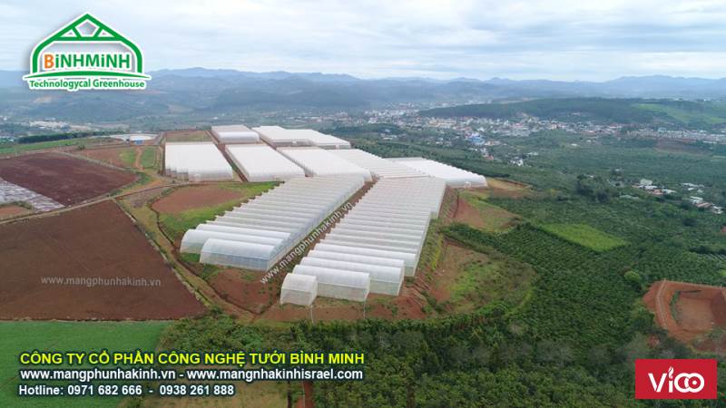 Màng nhà kính Politiv Israel, màng nhà kính nông nghiệp,màng phủ nhà kính Politiv,