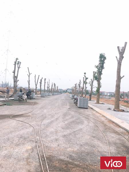 Tổ hợp biệt thự Hoàng Gia ven sông Cầu Rào