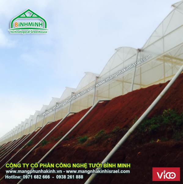 Màng kính Politiv Israel, màng nhà kính chống tia UV