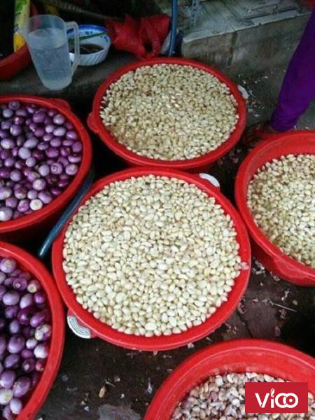 Máy bóc vỏ hành, tỏi, hành phi tiện lợi