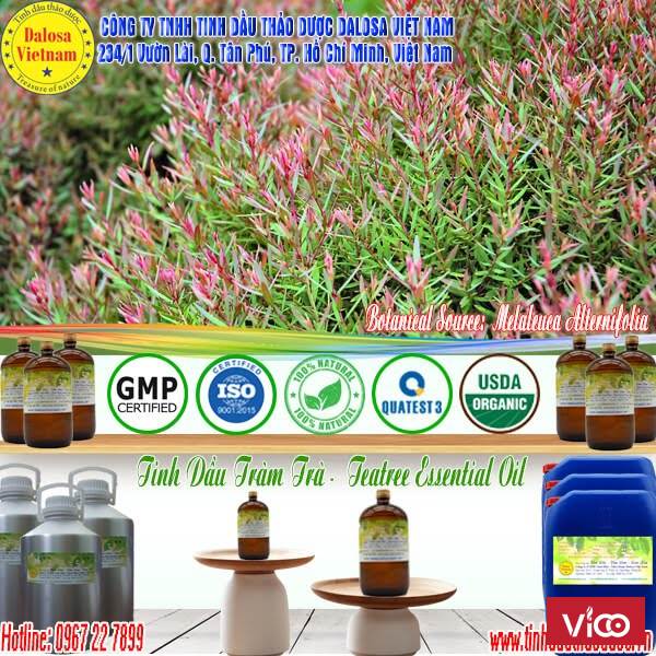 Tinh dầu Tràm Trà nguyên chất 1000ml