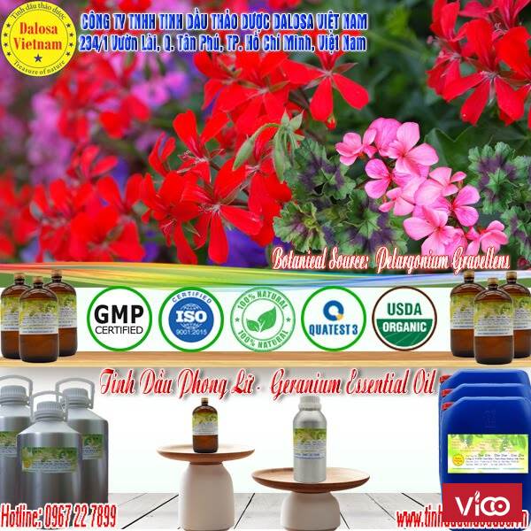 Tinh dầu Phong Lữ giúp chăm sóc da 1000ml