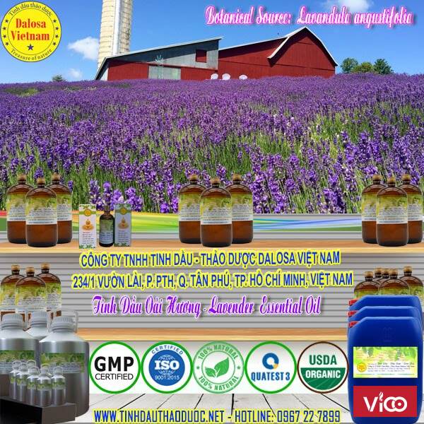 Tinh dầu Oải Hương Lavender nguyên chất 1000ml