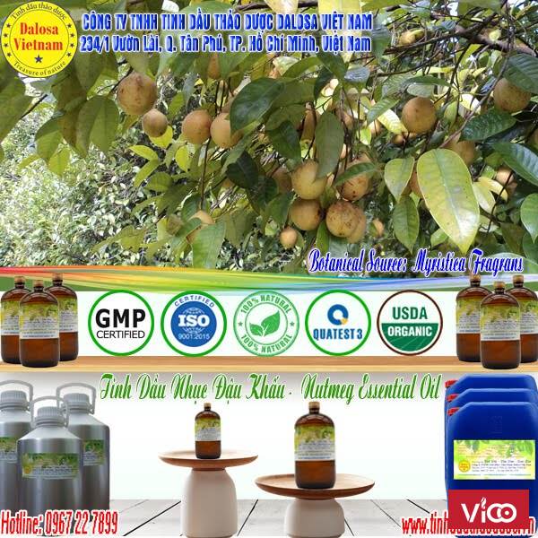 Tinh dầu Nhục Đậu Khấu nguyên chất 1000ml