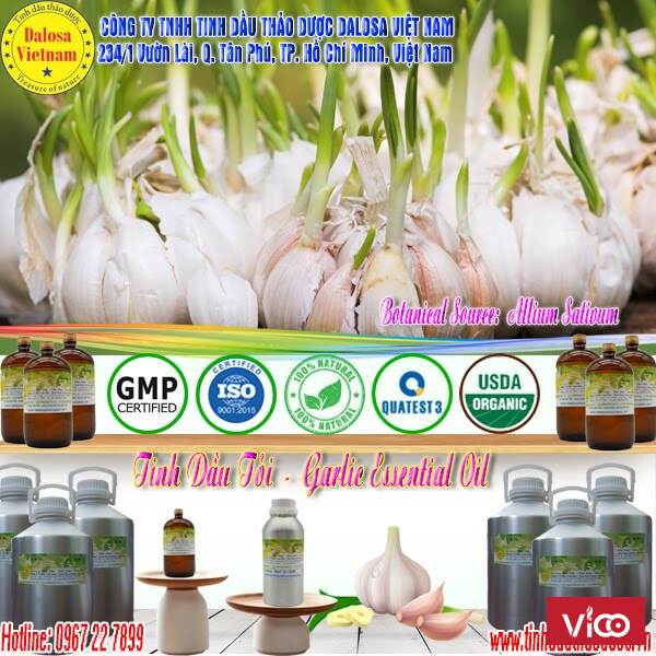 Tinh dầu Tỏi trị cảm cúm 1000ml