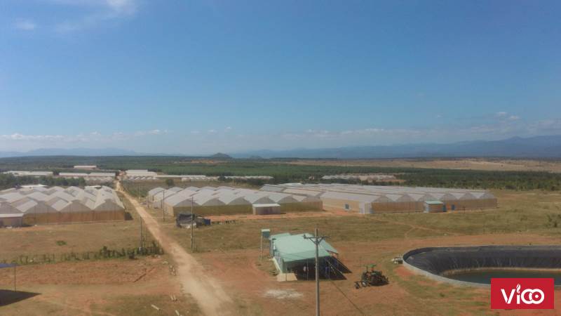 đất trồng cây hàng năm không duqjn án hay quy hoạch