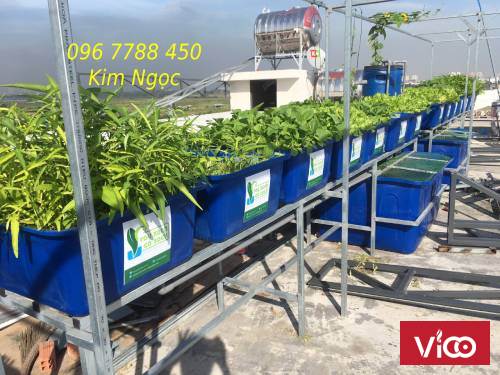 Thùng nhựa nuôi cá 2000 lít hình chữ nhật giá rẻ