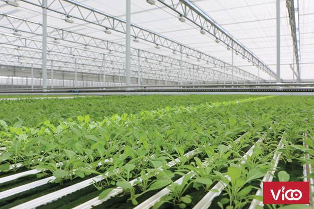 Màng nhà kính Politiv, mô hình nhà kính đa ứng dụng, phân loại