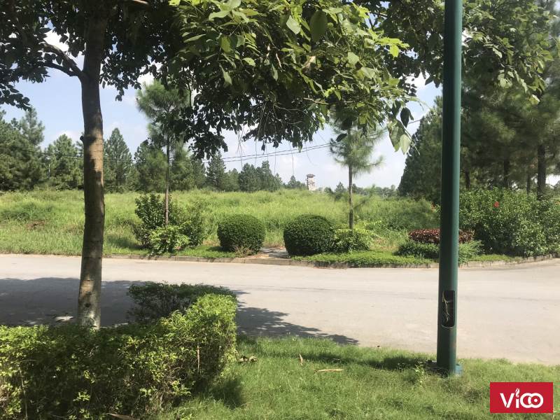 Cực phẩm biệt thự Đà Lạt giữa bạt ngàn đồi thông ngay tại Hà Nội. LH 0868002286