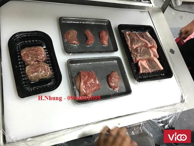 Máy đóng gói chân không hút sát da Skinpack chính hãng, giá rẻ