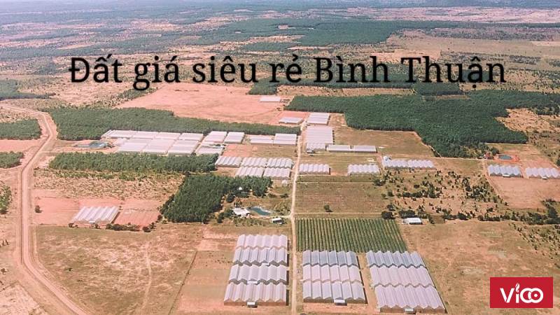 ĐẤT NỀN BÌNH THUẬN 1000M2 CHỈ CÓ 70TR