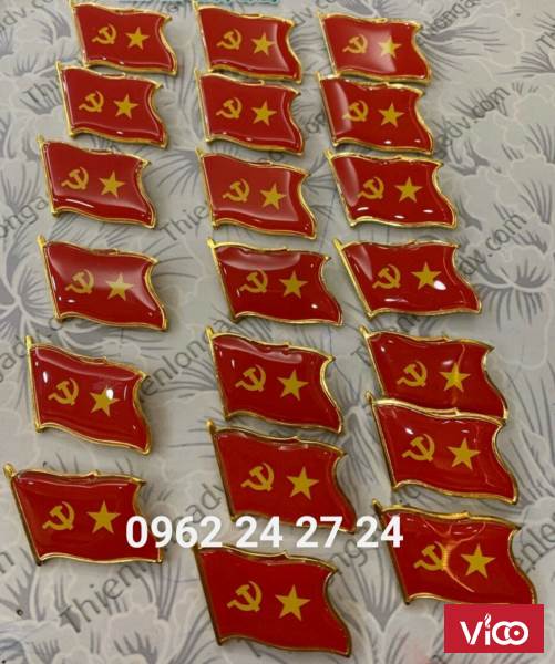 làm huy hiệu đại hội giá rẻ, cung cấp huy hiệu đảng, huy hiệu của trường