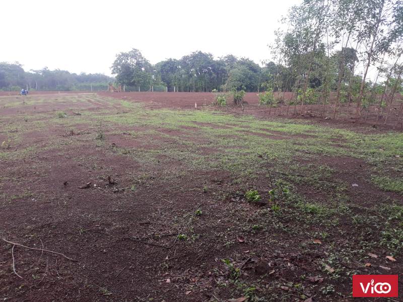 Đất mặt tiền đường Mỹ Xuân Ngãi Giao, liền kề đường Vành Đai 4, Thị xã Phú Mỹ