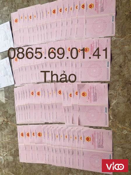 Sau Những Dự Án Thành Công Cát Tường Group Lại Bung Lụa Với Dự Án Mới Ngay TTHC