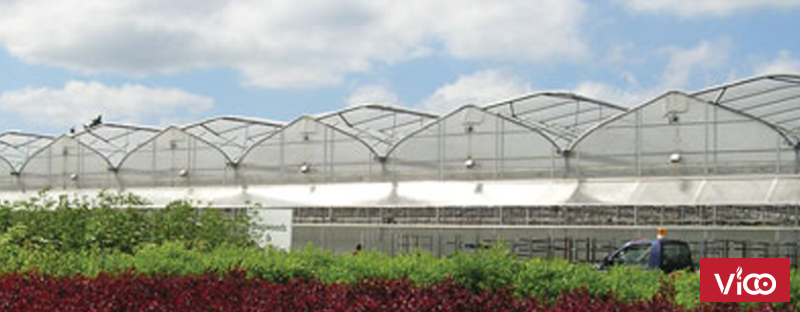 Màng nhà kính,nhà màng nông nghiệp, nhà màng Israel, chi phí làm nhà màng