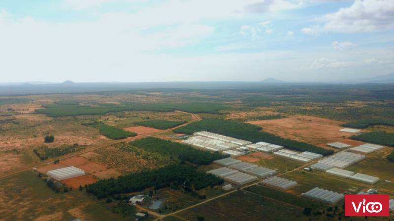 NAM Á GARDEN, trung tâm Bắc Bình, Bình Thuận,1000m2 chỉ từ 50tr, có sẵn sổ đỏ, mua bán công chứng