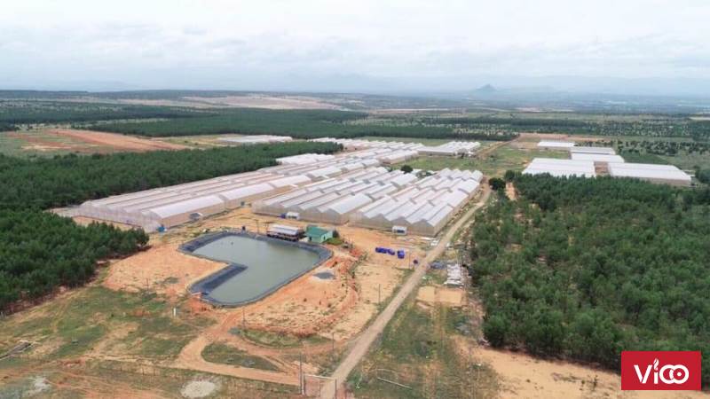 NAM Á GARDEN, trung tâm Bắc Bình, Bình Thuận,1000m2 chỉ từ 50tr, có sẵn sổ đỏ, mua bán công chứng