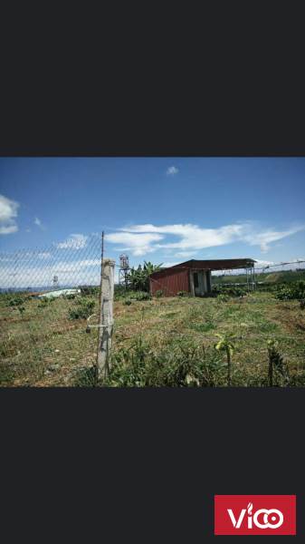 cần bán vườn mặt tiền đường Nguyễn An Ninh,bảo Lộc