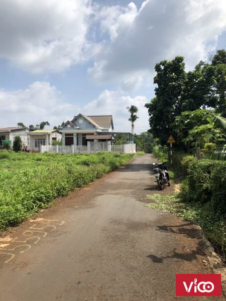 Bán đất giá rẻ đạt lý hòa thuận cạnh chùa liên trì 11A