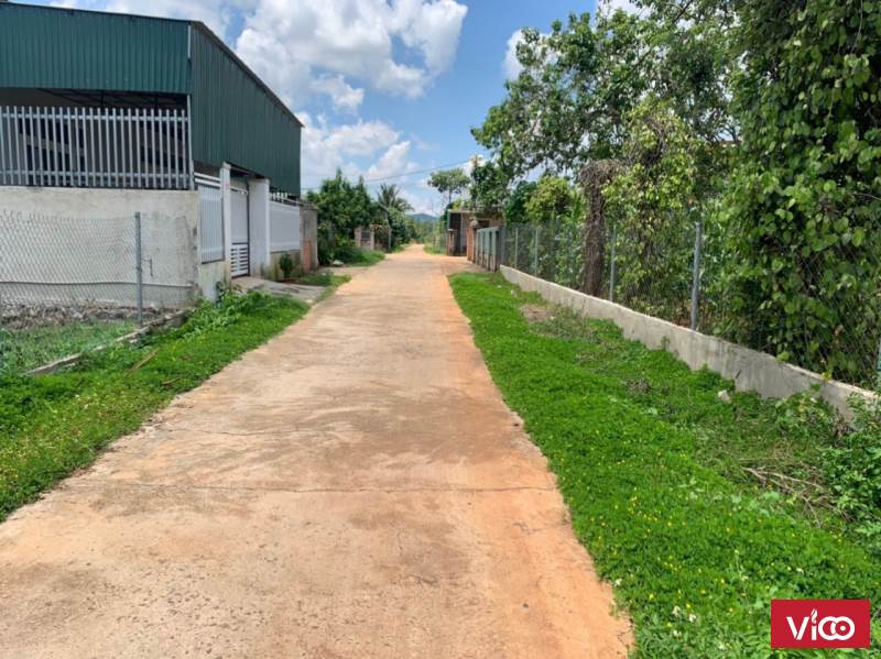 Bán đất eakao giá rẻ bao khu vực cạnh tranh