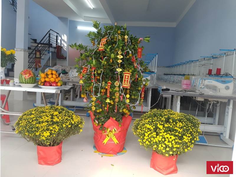 CHO THUÊ 2 CĂN NHÀ MẶT TIỀN LIỀN NHAU 1 TRỆT 2 LẦU Ở QUỐC LỘ 50, 9X28M