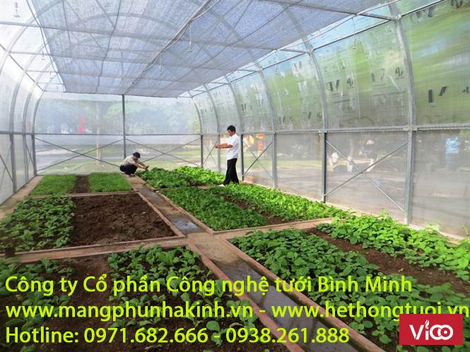 Màng nhà kính politiv , màng phủ nhà kính,vật tư nhà kính, thiết bị nhà kính,