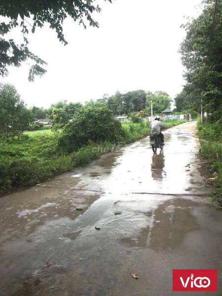 Cần Bán Gấp Đất Thổ Cư 100% Đường Lê Hồng Phong Phường 8 Thành phố Trà Vinh