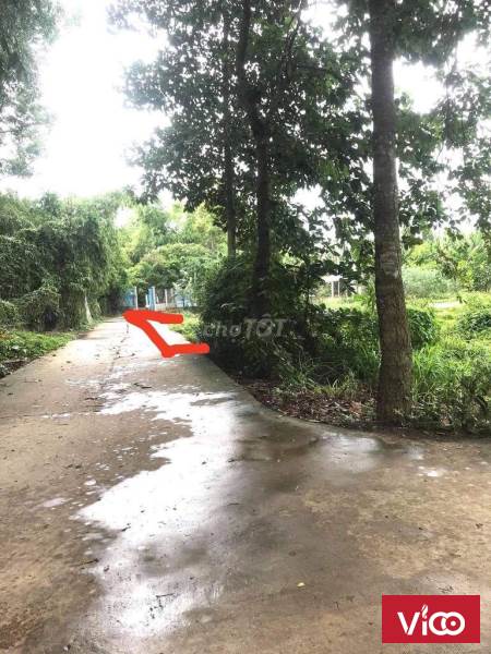 Cần Bán Gấp Đất Thổ Cư 100% Đường Lê Hồng Phong Phường 8 Thành phố Trà Vinh