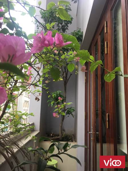 Chính chủ cần cho thuê nhà 5 tầng để ở hoặc làm văn phòng tại Phạm Tuấn Tài