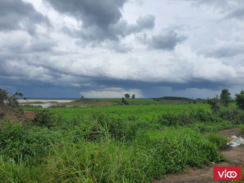 Bán gấp lô đất xã Vinh Tân diện tích 5438m2 giá 2,5 tỷ