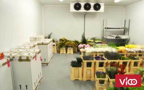 ANKACOBáo giá lắp đặt kho lạnh bảo quản hoa tươi tại Đà Lạt