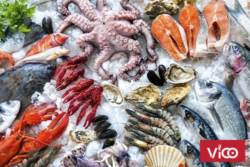 ANKACOCung cấp lắp đặt kho lạnh trữ hải sản tại Vũng Tàu