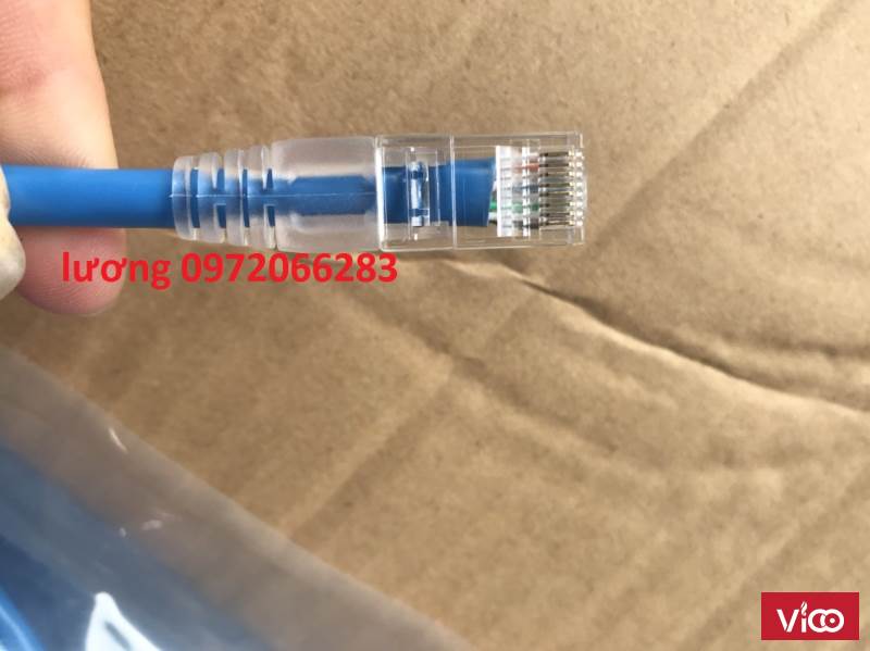 Dây nhảy Patch cord Cat5e 10 feet 3m