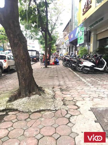 Biệt thự Phố Cổ Hoàn Kiếm, Thông phố Tràng tiền, Trần Hưng Đạo chỉ đợi duy nhất 1 chủ nhân sở hữu.