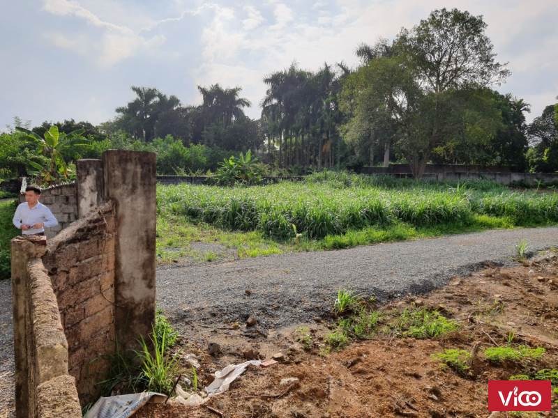 Quá rẻ cho mùa covid19, 1900m lô góc THỦY XUÂN TIÊNgiá chỉ 1,6 triệu/m