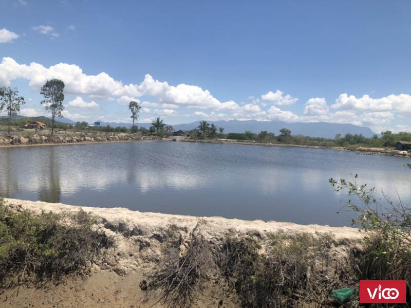 ĐẤT ĐẸP ĐÌA TÔM 12.870M2 NINH LỘC, NINH HÒA CHỈ 980tr