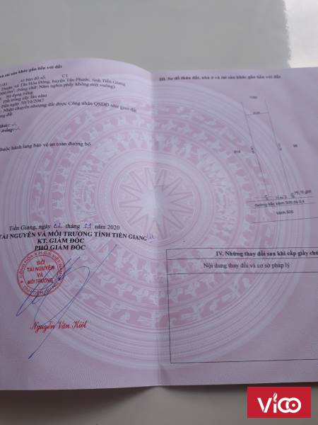 Chính chủ cần bán gấp lô đất trồng cây lâu năm
