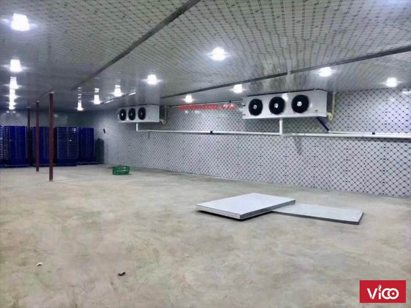 Thi công kho lạnh bảo quản sữa tươi tại Cần Thơ
