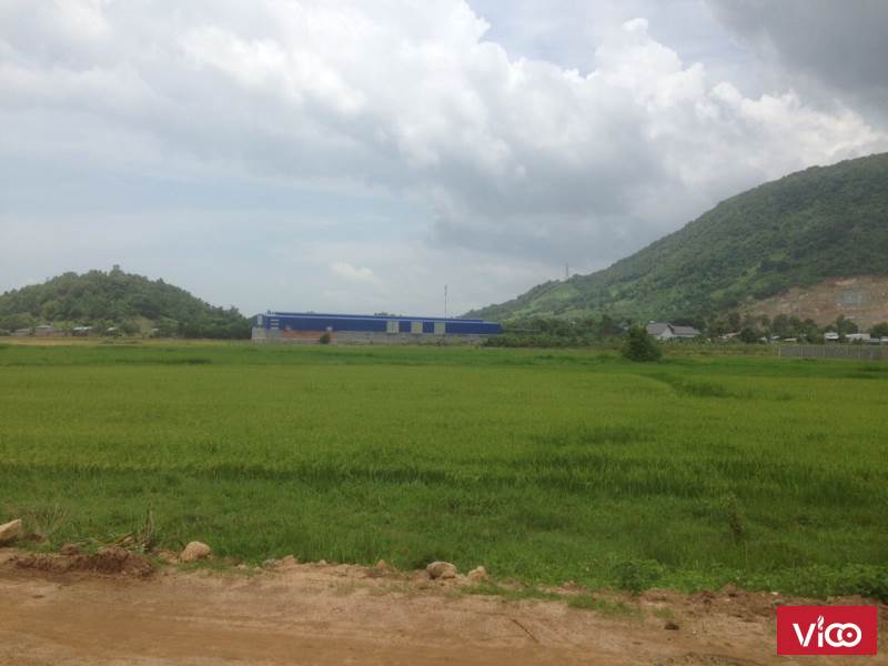 Bán Cũng Rất Tiếc 140m2 P Tân Hưng TP Bà Rịa, Sổ Đỏ Cầm Tay, Hạ Tầng Đường Xá Lên Qúa Nhanh