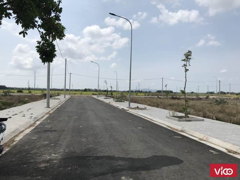 Bán Cũng Rất Tiếc 140m2 P Tân Hưng TP Bà Rịa, Sổ Đỏ Cầm Tay, Hạ Tầng Đường Xá Lên Qúa Nhanh