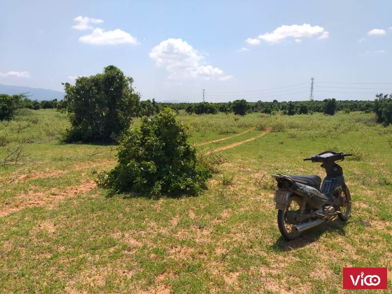 Đất làm homestay gần khu du lịch biển, DT 88x121m giá 520 triệu giao ngay sổ đỏ, ô tô vào đất